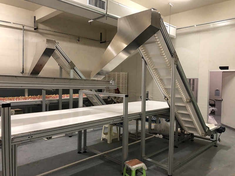 食品輸送線(xiàn)